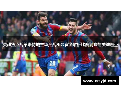 英超焦点战莱斯特城主场迎战水晶宫全解析比赛前瞻与关键看点