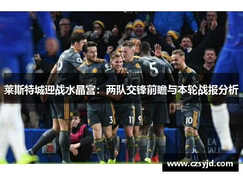 莱斯特城迎战水晶宫:两队交锋前瞻与本轮战报分析 莱斯特城迎战水晶宫:两队交锋前瞻与本轮战报分析