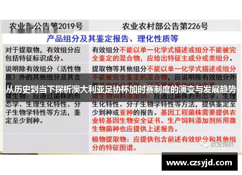 从历史到当下探析澳大利亚足协杯加时赛制度的演变与发展趋势