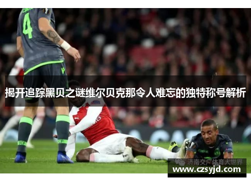 揭开追踪黑贝之谜维尔贝克那令人难忘的独特称号解析