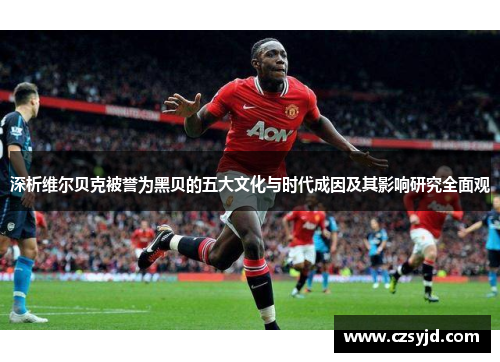 深析维尔贝克被誉为黑贝的五大文化与时代成因及其影响研究全面观